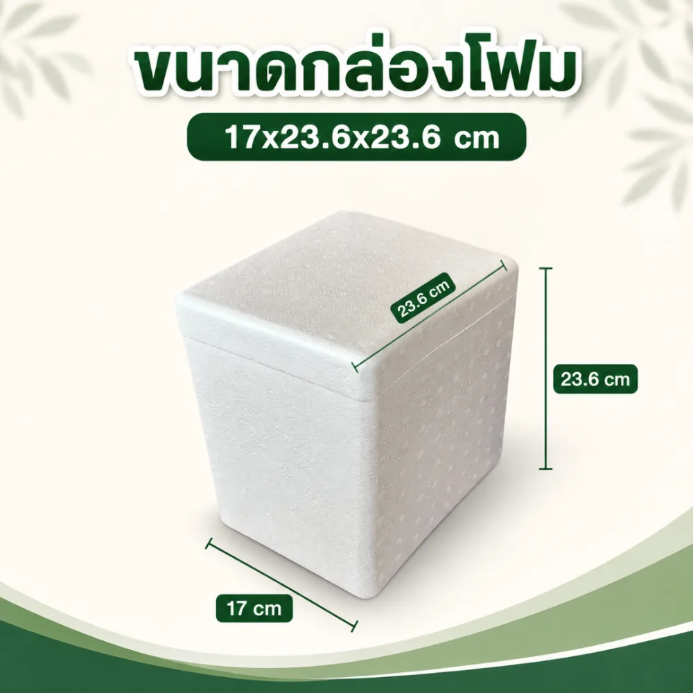 กล่องโฟม 3 กิโลกรัม (ทรงสูง) รูปที่ 2