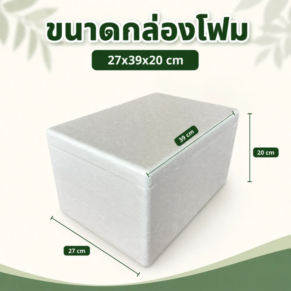 กล่องโฟม 5 กิโลกรัม (แบบ2) รูปที่ 2