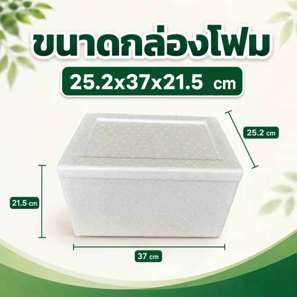 กล่องโฟม 6 กิโลกรัม รายละเอียดที่ 1